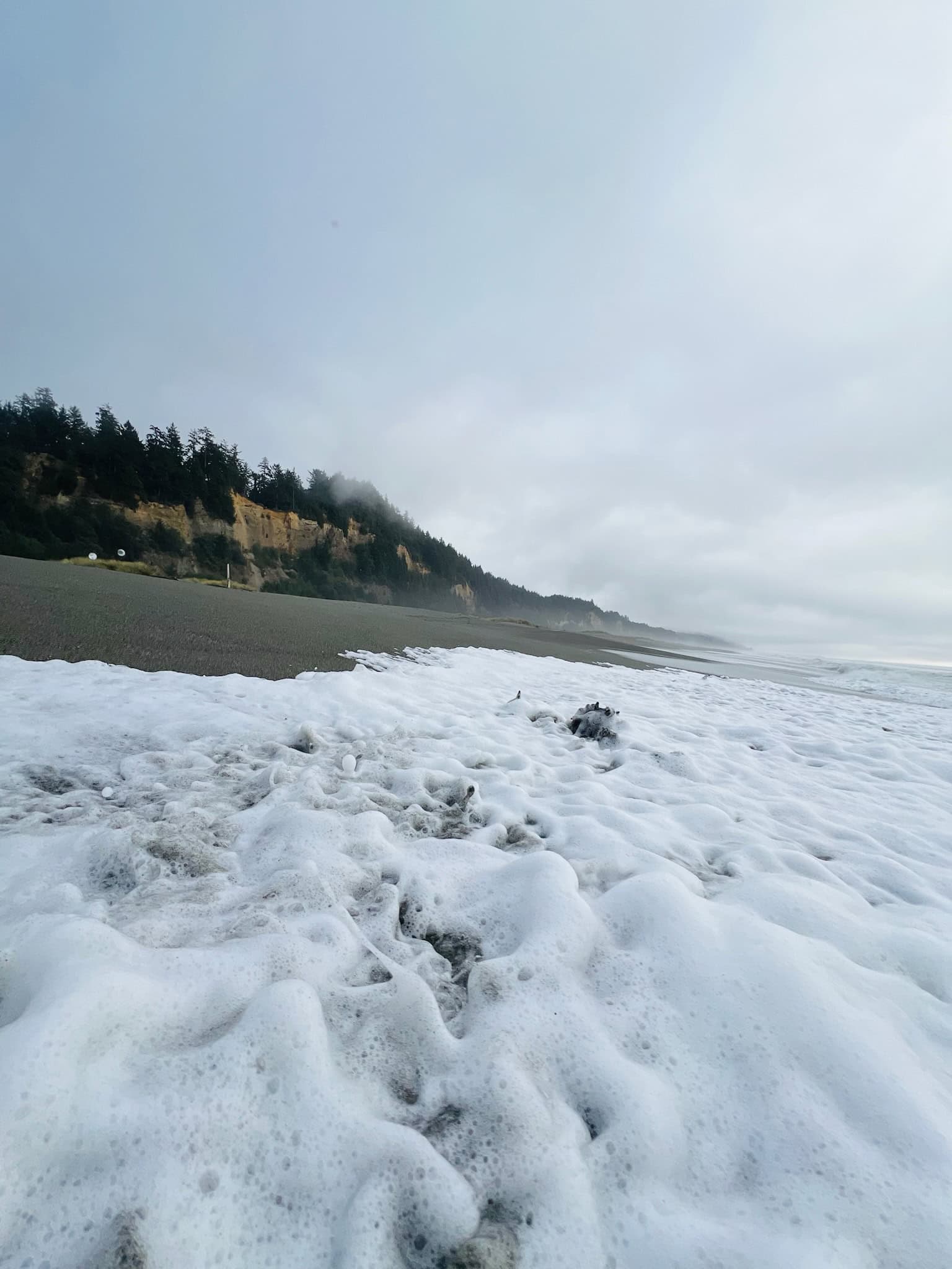 waves crashing on the black sand beach at Gold Bluffs Beach