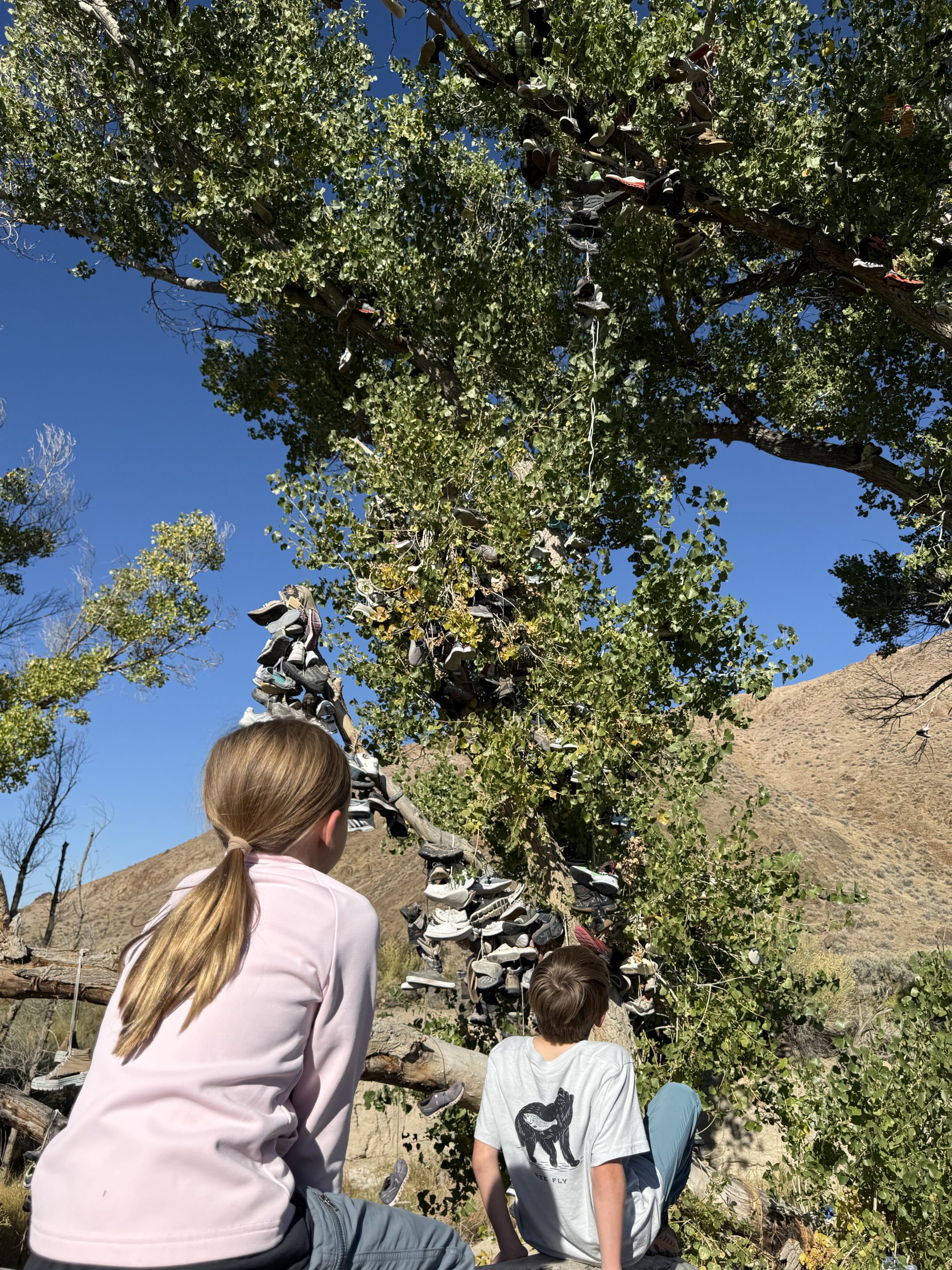 Two kids looking at Middlegate Shoe Tree on the Loneliest Road in America