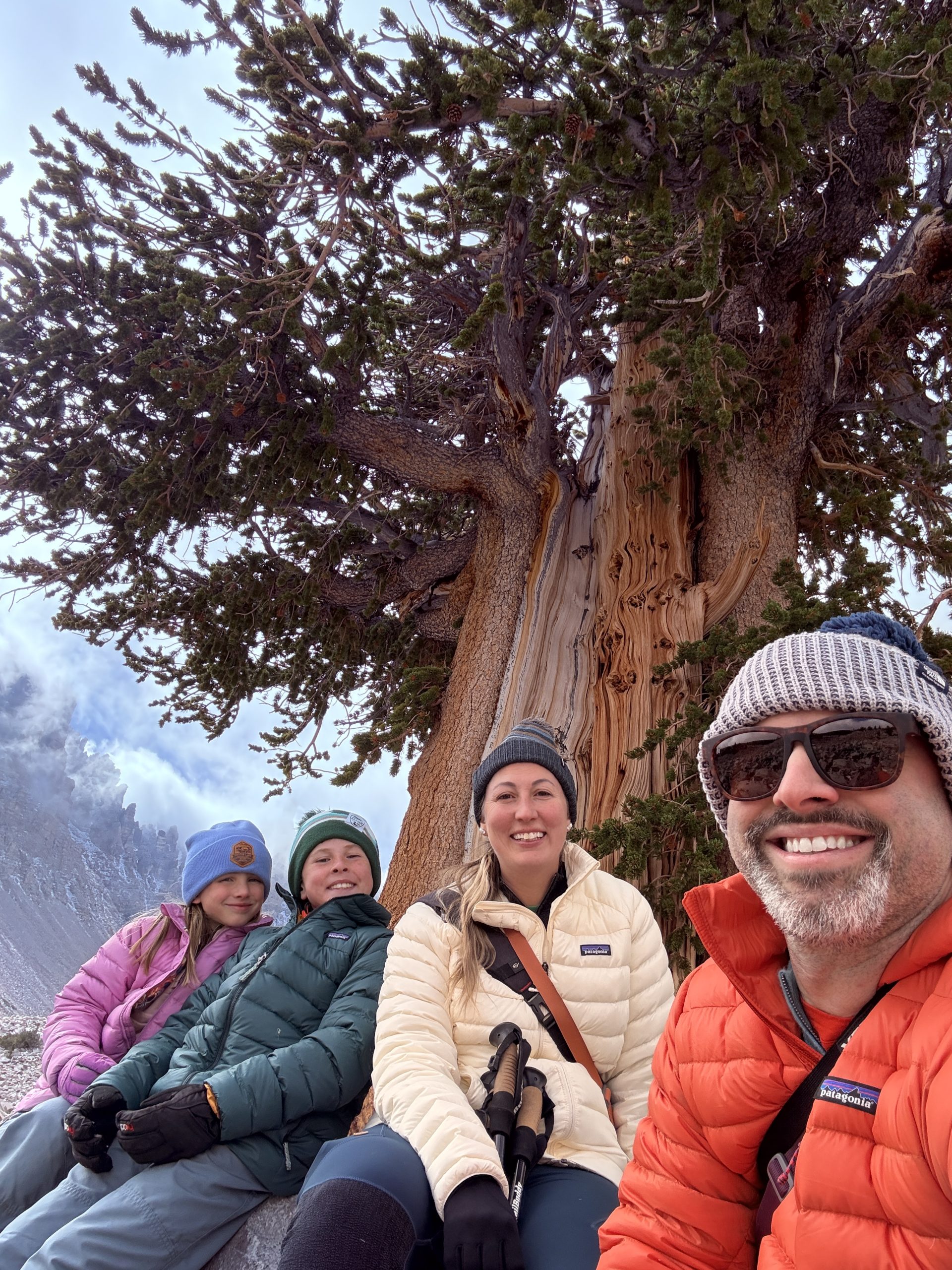 Family sitting under Bristlecone pine in Patagonia Sweater Jackets
